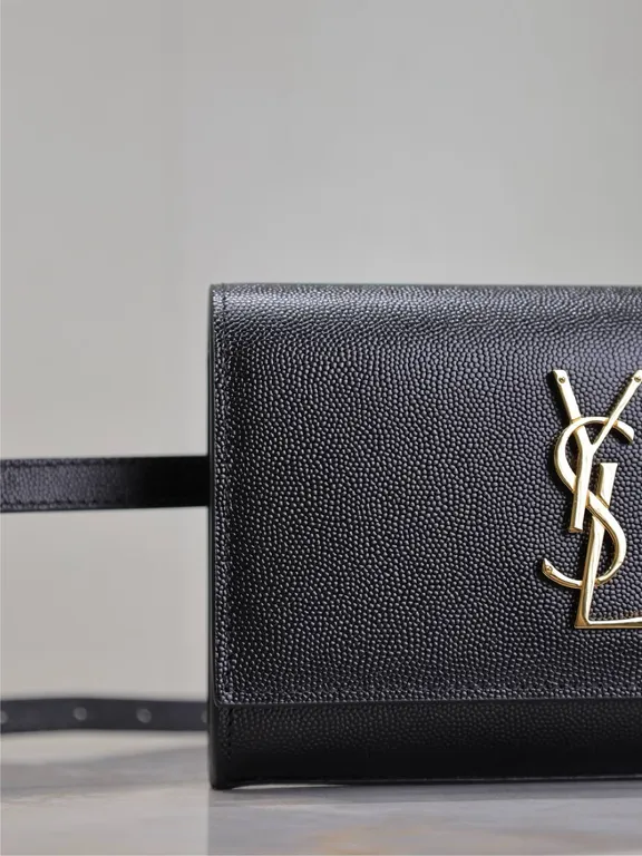 Saint Laurent Bag 